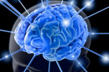 Cerebro sano