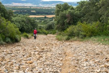 Camino de Santiago